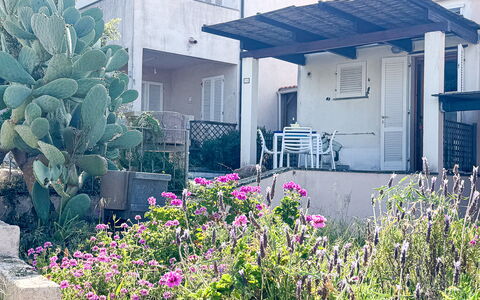 Ostrica: Shrub, Garden, Yard, Landscaping, Shade, Backyard, Balcony, Walkway, Courtyard