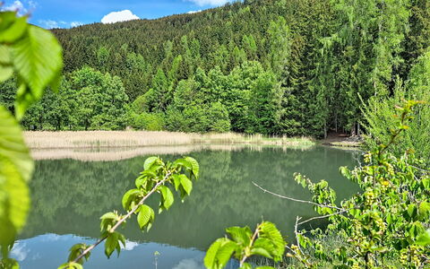 Halbeis: Water Resources, Water, Green, Body Of Water, Nature, Natural Environment, Natural Landscape, Bank, Watercourse, Summer