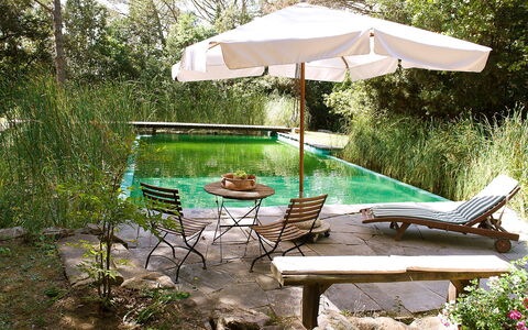 Il Poggio: Property, Table, Furniture, Shade, Tree, Backyard, Botany, Vacation, Outdoor Table, Outdoor Furniture