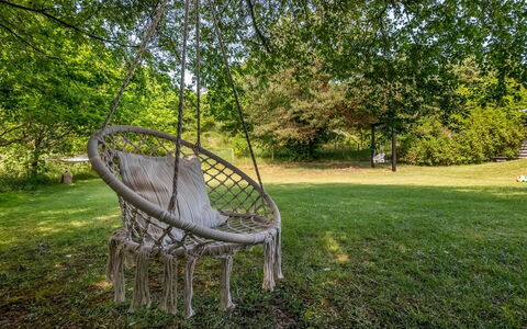 Flor - 900M from the Sea: Grass, Garden, Groundcover, Trunk, Lawn, Spring, Sunlight, Woody Plant, Park