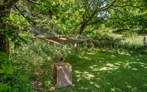 Flor - 900M from the Sea: Green, Natural Environment, Nature, Leaf, Branch, Vegetation, Plant Community, Garden, Groundcover