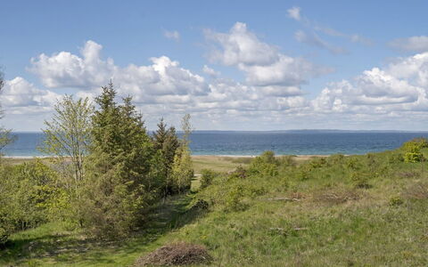 Adelinde - 300M from the Sea: Furniture, Sea, Chair, Shade, Balcony, Outdoor Furniture, Eco Hotel, Coast, Deck, Wood Stain