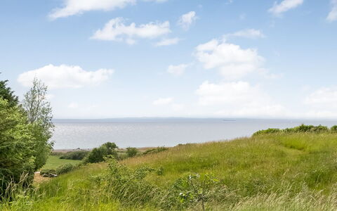 Adelinde - 300M from the Sea: Sky, Blue, Green, Grass, Horizon, Natural Landscape, Vegetation, Grassland, Ecoregion