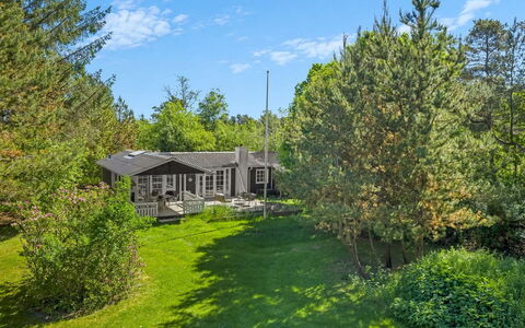 Volmer - 500M from the Sea: Tree, Grass, Vegetation, Shrub, Land Lot, Plant Community, Garden, Home, Cottage, Groundcover