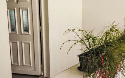 Accommodation:&nbsp;Frlea 2.1