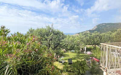 Finale Ligure 30: Shrub, Landscape, Garden, Landscaping, Botanical Garden, Plantation, Walkway, Path