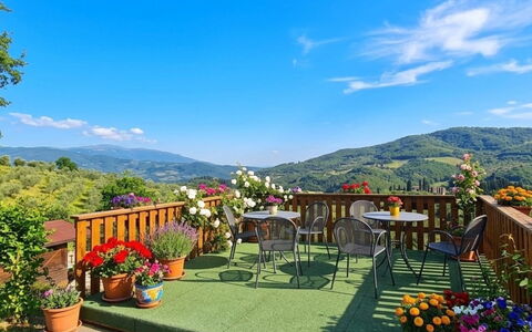 Geranio: Grass, House, Rural Area, Cottage, Roof, Home, Landscape, Plain, Land Lot