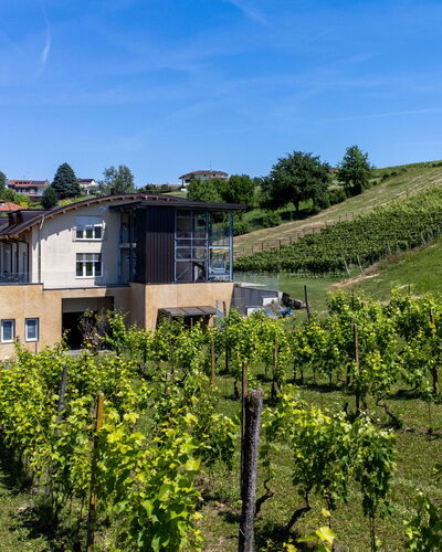 Guesthouse Dellavalle