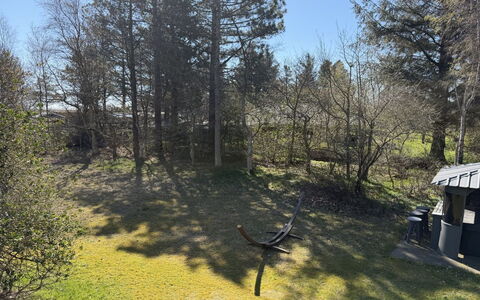 Kaija - from the Sea: Tree, Grass, Leaf, Branch, Land Lot, Trunk, Sunlight, Twig, Woodland, Lawn