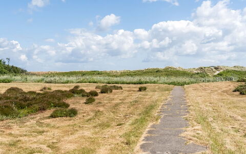 Enwald - 100M from the Sea: Sky, Grass, Natural Environment, Green, Grassland, Cloud, Vegetation, Ecoregion, Natural Landscape, Plain