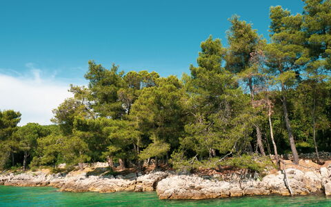 Krk Malinska 204: Swimming Pool, Resort Town, Eco Hotel, Resort, Villa