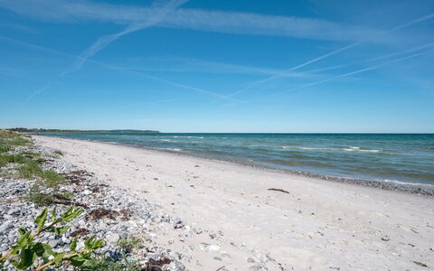 Fria - 200M from the Sea: Blue, Sky, Natural Environment, Beach, Coast, Horizon, Coastal And Oceanic Landforms, Shore, Sea