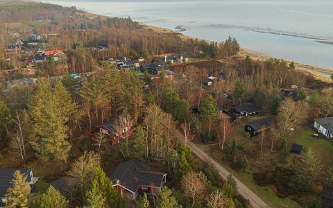 Ferdine - from the Sea: Tree, Residential Area, Landscape, Land Lot, Human Settlement, Rural Area, Suburb, Village, Cottage, Aerial Photography