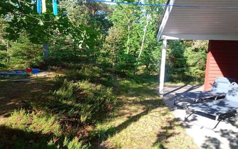 Ferdine - from the Sea: Garden, Shade, Lawn, Backyard, Yard, Woodland, Landscaping, Park, Garden Buildings