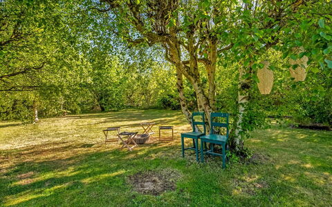 Skuli - 300M from the Sea: Blue, Leaf, Branch, Green, Nature, Tree, Grass, Natural Environment, Vegetation, Summer