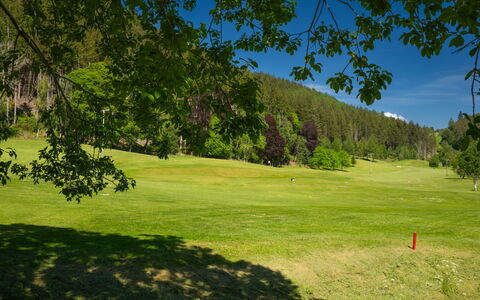 Coach House on Aigas Golf Course: Grass, Tree, Natural Environment, Grassland, Plain, Land Lot, Meadow, Pasture, Lawn
