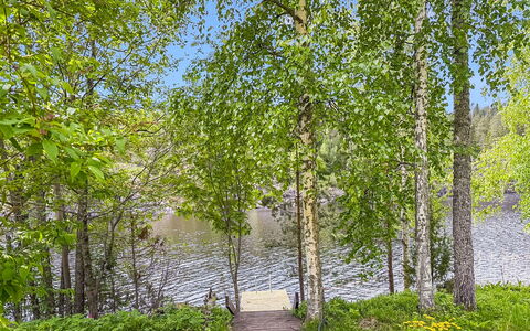 Villa Kaidanjylhä: Green, Leaf, Nature, Tree, Natural Environment, Branch, Vegetation, Natural Landscape, Summer