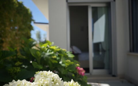 Villa Mulberry Garden - Esclusiva con Piscina Priv: Flower, Petal, Flowering Plant, Garden, Landscaping, Daylighting, Hydrangeaceae, Hydrangea, Balcony
