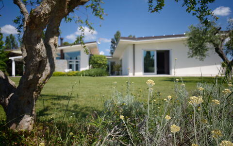 Villa Mulberry Garden - Esclusiva con Piscina Priv: Home, Shrub, Residential Area, Land Lot, Lawn, Estate, Garden, Cottage, Shade, Landscaping