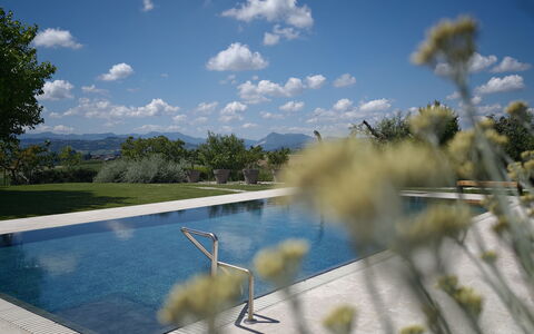 Villa Mulberry Garden - Esclusiva con Piscina Priv: Blue, Swimming Pool, Reflection, Reflecting Pool, Outdoor Furniture, Shadow