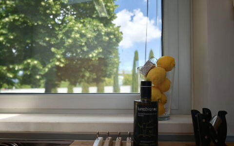 Villa Mulberry Garden - Esclusiva con Piscina Priv: Glass, Bottle, Glass Bottle, Countertop, Houseplant, Kitchen