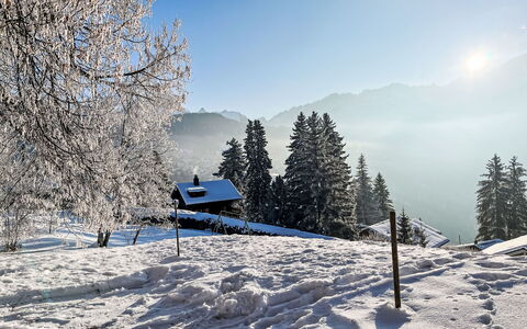 Chalet le Cornuit: Snow, Winter, Tree, Mountainous Landforms, Nature, Branch, Mountain, Mountain Range, Landscape, Hill Station