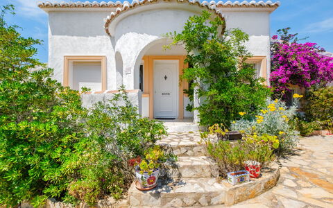 Bougainvillea: Shrub, Garden, Landscaping, Hacienda, Flagstone, Houseplant, Flowerpot, Villa
