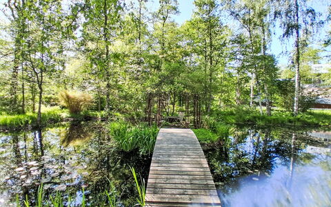 Lövekulle: Water, Green, Natural Environment, Nature, Natural Landscape, Vegetation, Watercourse, Bank, Reflection