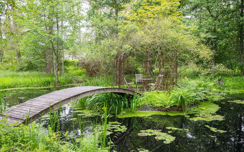 Lövekulle: Green, Natural Environment, Natural Landscape, Vegetation, Shrub, Plant Community, Garden, Bank, Watercourse