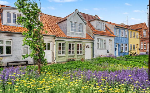 Swarthofthi - 90M from the Sea: Groundcover, Cottage, Garden, Tulip, Wildflower