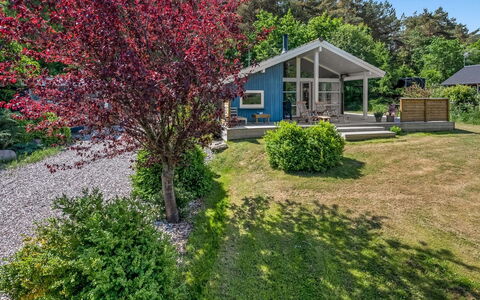 Rise - 600M from the Sea: Shrub, Groundcover, Garden, Spring, Landscaping, Yard, Lawn, Walkway, Driveway