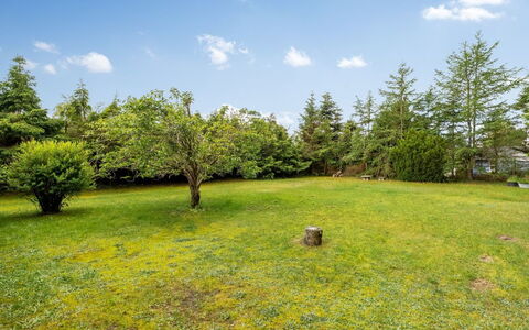 Arisa - from the Sea: Sky, Blue, Grass, Tree, Natural Environment, Nature, Vegetation, Grassland, Natural Landscape, Cloud