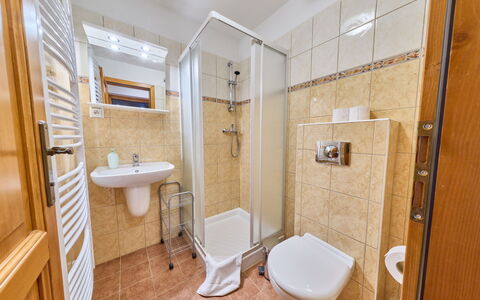 Penzion Exnar: Flooring, Interior Design, Floor, Room, Plumbing Fixture, Plumbing, Mirror, Sink, Tap, Hotel