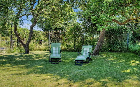Aaro - 275M from the Sea: Green, Grass, Furniture, Shrub, Garden, Land Lot, Lawn, Shade, Outdoor Furniture
