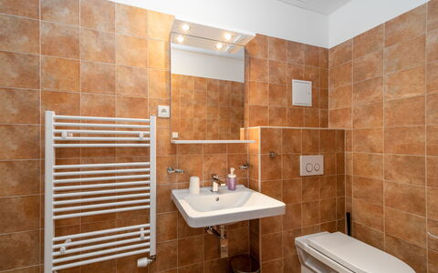 Janské Lázně 5: Flooring, Plumbing Fixture, Wall, Floor, Bathroom, Interior Design, Sink, Plumbing, Tap, Tile