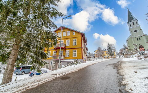 Janské Lázně 5: Tree, House, Snow, Winter, Home, Freezing, Slope, Suburb, Larch