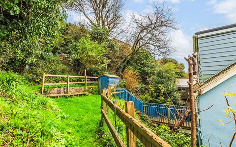 Stonecrop: Green, Vegetation, Shrub, Fence, Spring, Slope, Garden, Handrail, Home Fencing