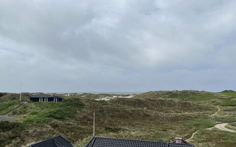Nyyrikki - 350M from the Sea: Terrain, Land Lot, Fell, Shrubland, Chaparral, Steppe, Trail