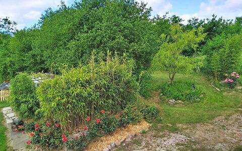 L'Ancienne Ferme: Vegetation, Shrub, Garden, Plant Community, Land Lot, Groundcover, Woody Plant, Landscaping