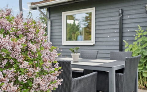 Arise - 1.5Km from the Sea: Shrub, Garden, Groundcover, Shade, Yard, Siding, Outdoor Furniture, Landscaping, Backyard, Outdoor Structure