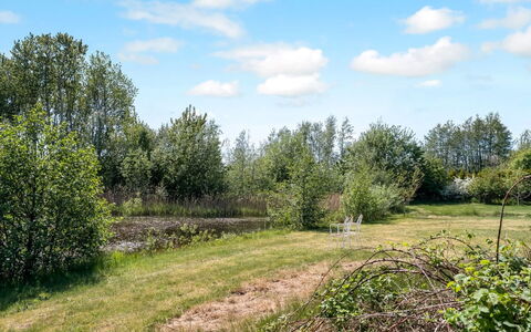Yorrick - 5Km from the Sea: Sky, Grass, Tree, Leaf, Natural Environment, Vegetation, Branch, Grassland, Natural Landscape, Shrub