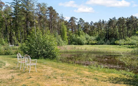Yorrick - 5Km from the Sea: Grass, Tree, Green, Natural Environment, Natural Landscape, Vegetation, Grassland, Shrub, Plant Community