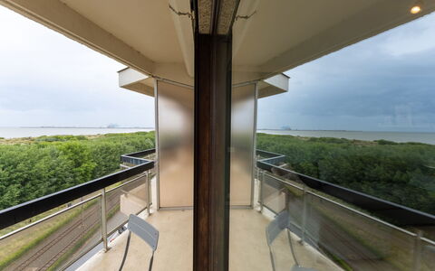 Poseidon: Floor, Apartment, Ceiling, Wood Stain, Hardwood, Balcony, Daylighting, Handrail, Plywood, Penthouse Apartment