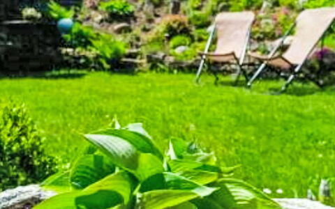 Herlíkovice: Green, Rock, Garden, Shrub, Landscape, Groundcover, Lawn, Landscaping, Backyard, Yard