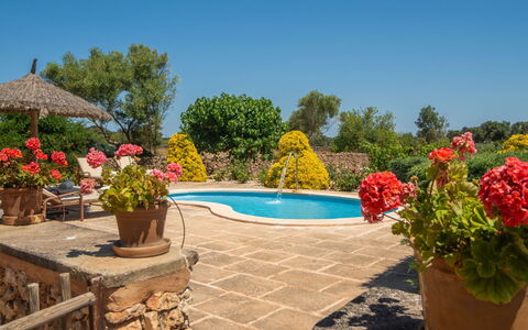 Casa Geranios: Garden, Outdoor Furniture, Flowerpot, Landscaping, Shade, Flagstone, Swimming Pool, Eco Hotel, Houseplant