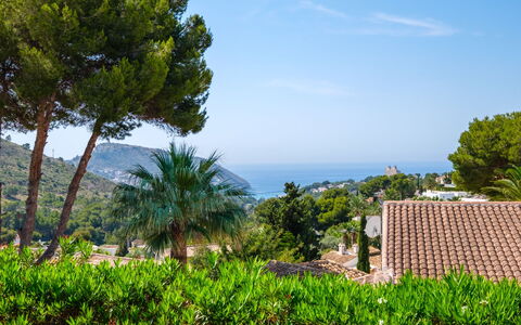 Blake: Tree, Leaf, Vegetation, Sea, Woody Plant, Coast, Ocean, Garden, Tropics