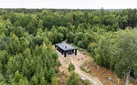 Paradiset 2: Tree, Forest, Plant Community, Woodland, Grove, Larch, Tropical And Subtropical Coniferous Forests