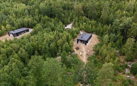 Paradiset 2: Tree, Forest, Landscape, Land Lot, Plantation, Woodland, Larch, Jungle