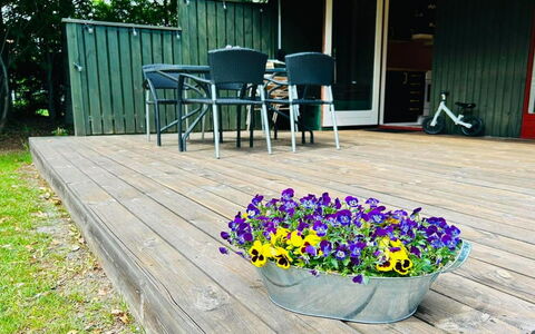 Ritte - from the Sea: Garden, Plank, Hardwood, Flowerpot, Outdoor Furniture, Deck, Wood Stain, Yard, Backyard, Lawn