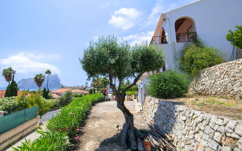 Pinarmar: Resort, Swimming Pool, Estate, Shade, Landscaping, Eco Hotel, Hotel, Villa